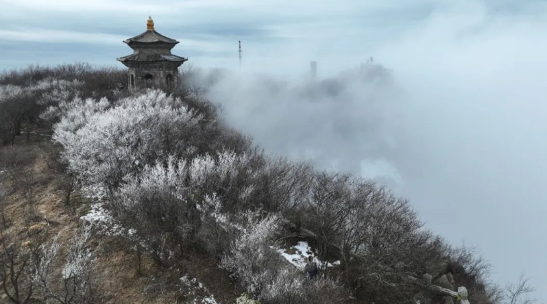 截图20250310171646