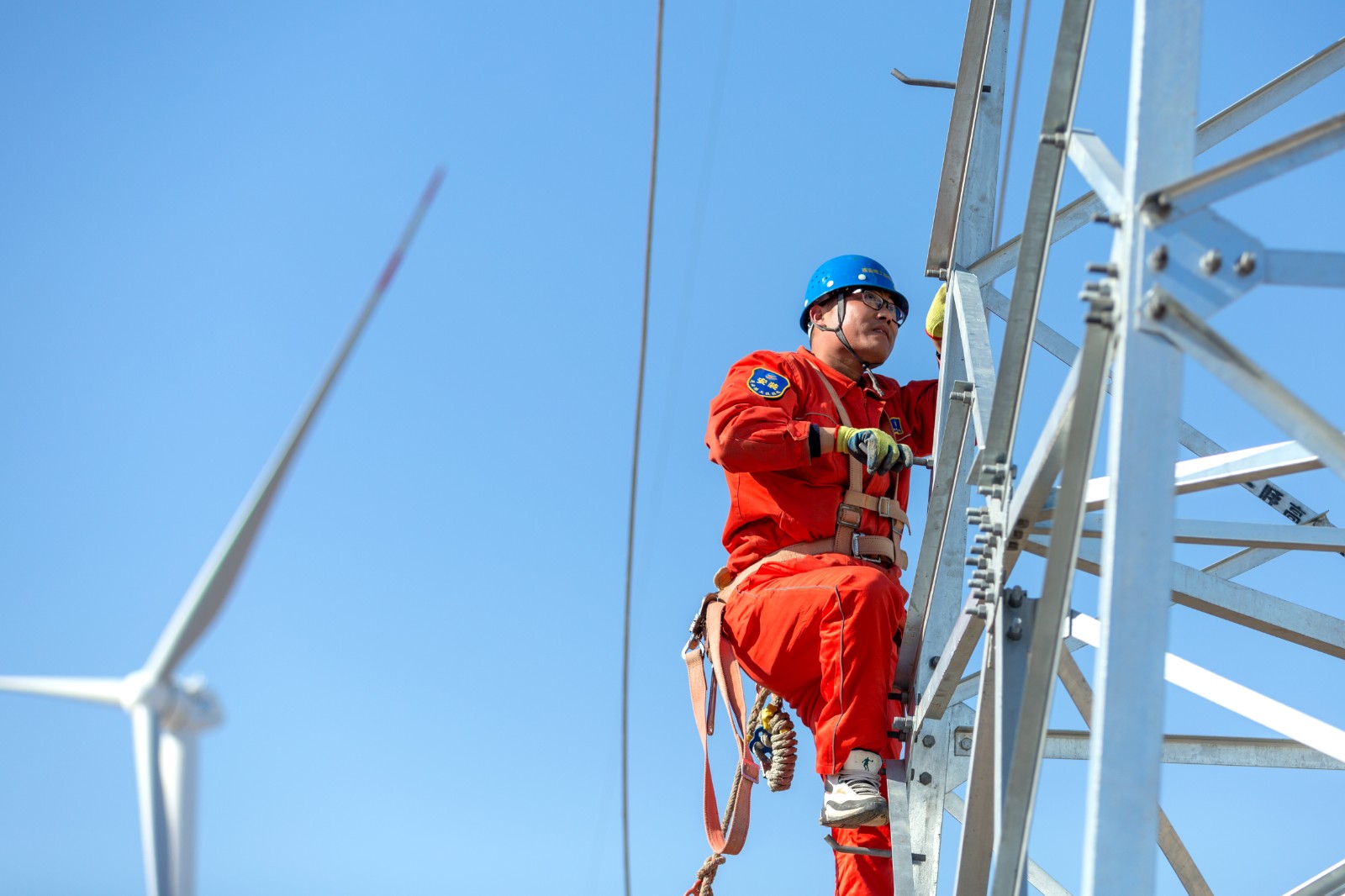 1746000870998 陈青