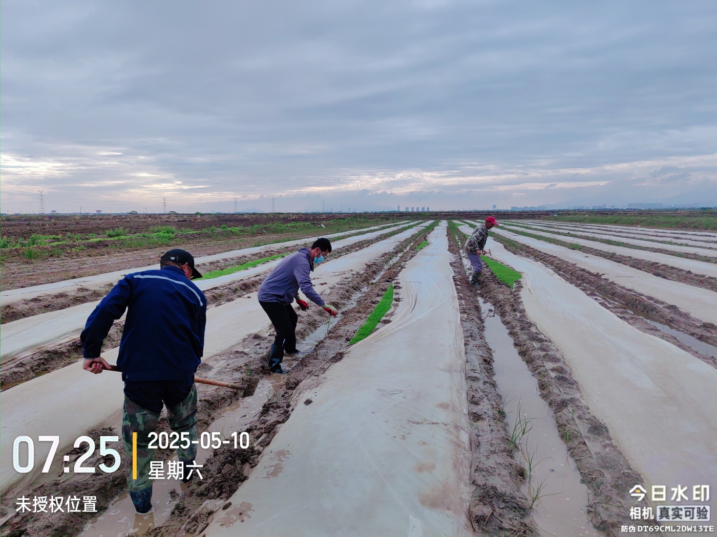 微信图片_20250512085256_副本