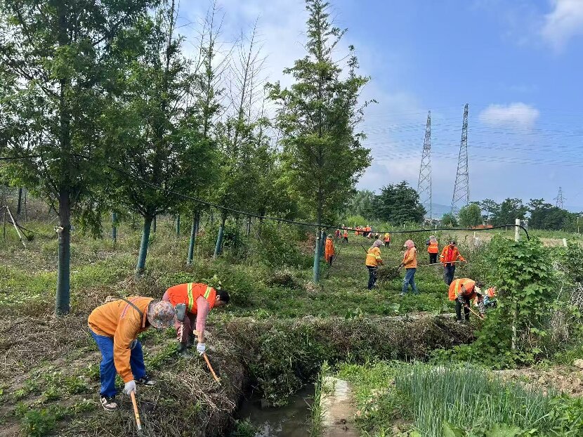 微信图片_20250627155542